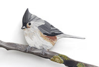 Tufted Titmouse
