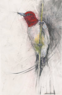 Red Headed Beauty
