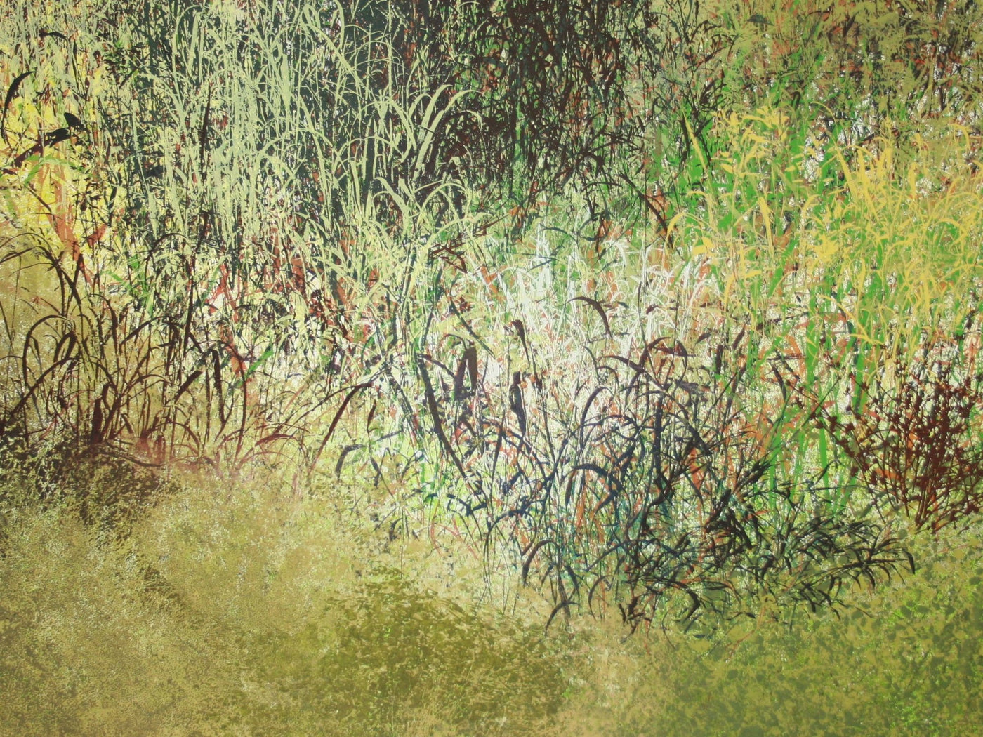 Nate's Land II