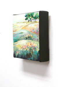 Fields of Color
