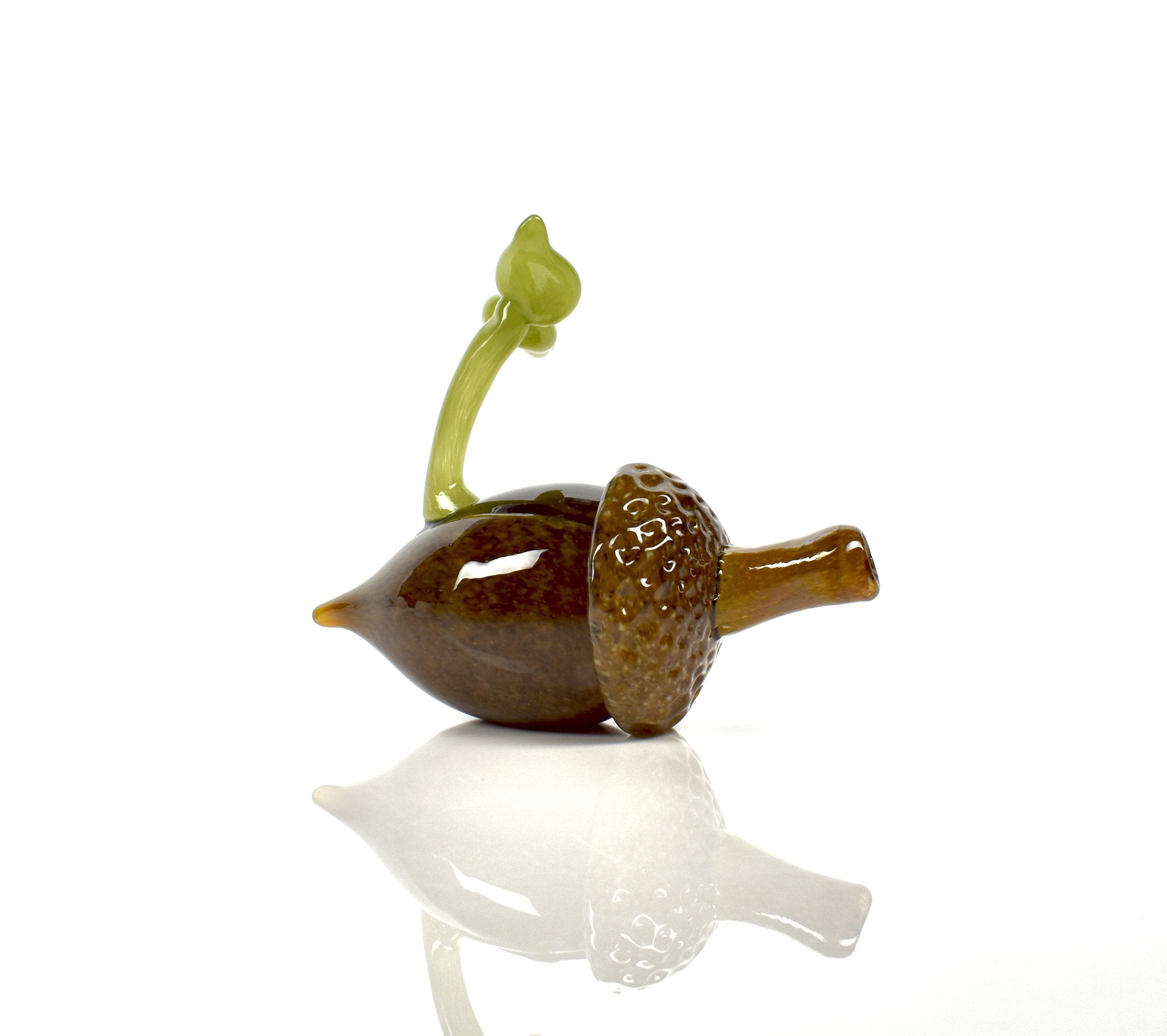 Acorn Sprout