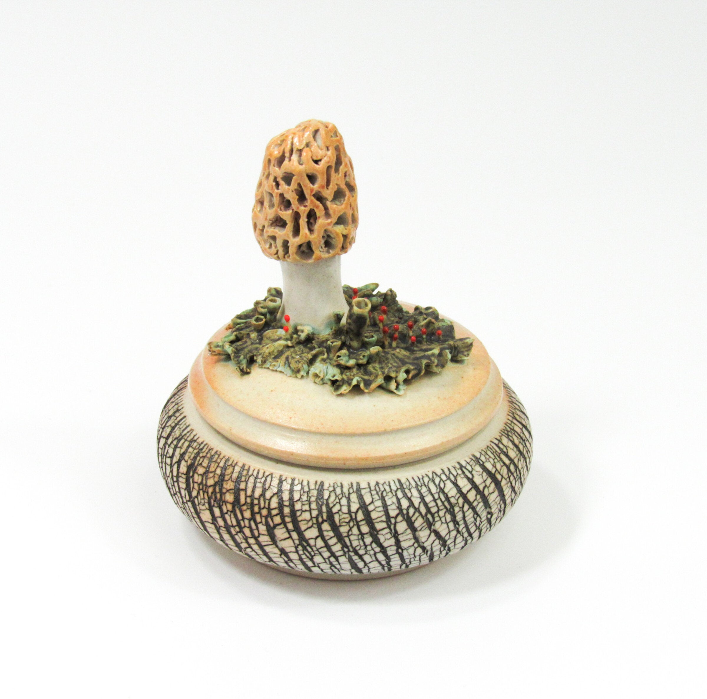 Morel