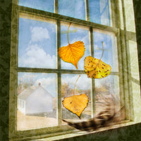 FallenFeather