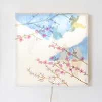 Plum Blossom Illuminated Box