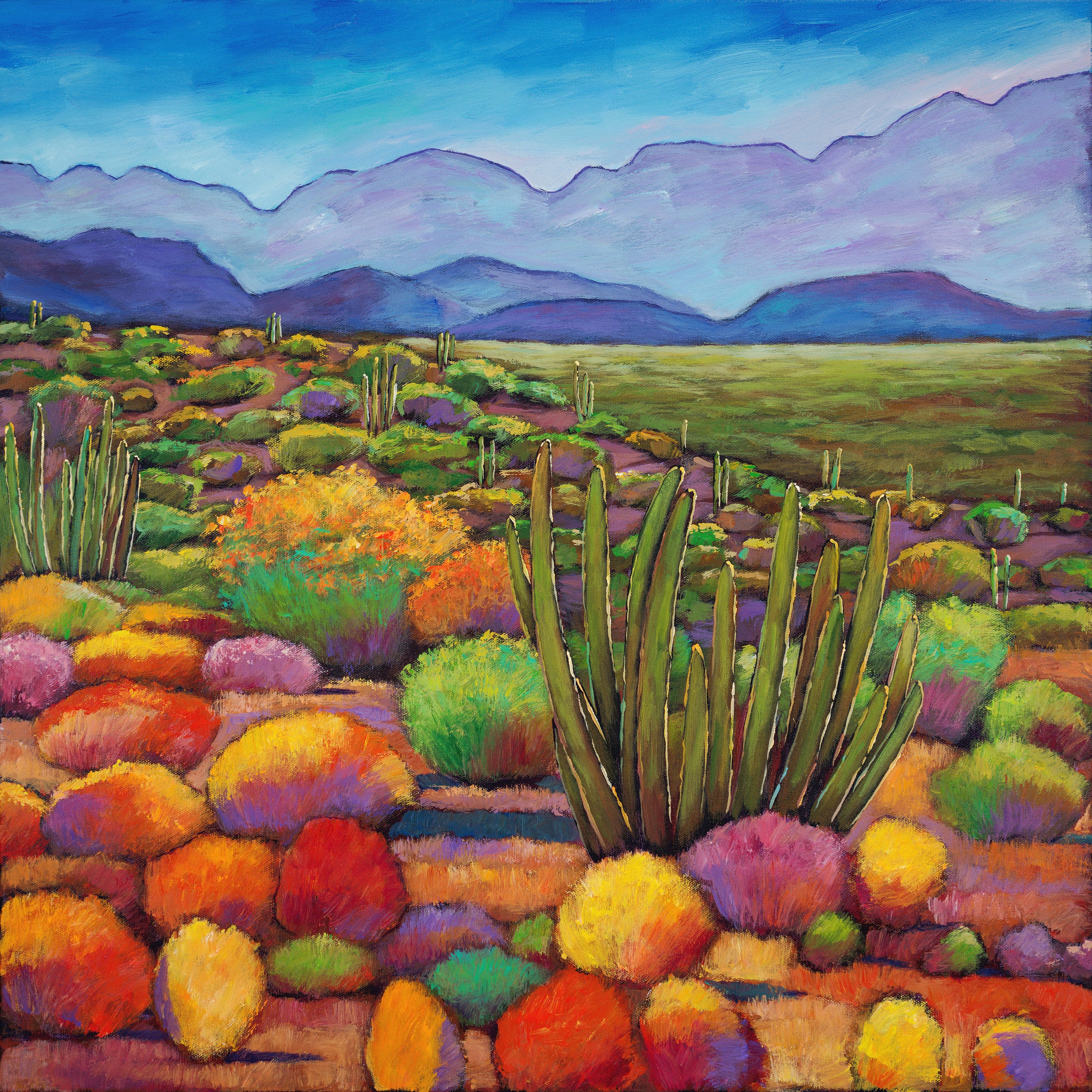 Organ Pipe