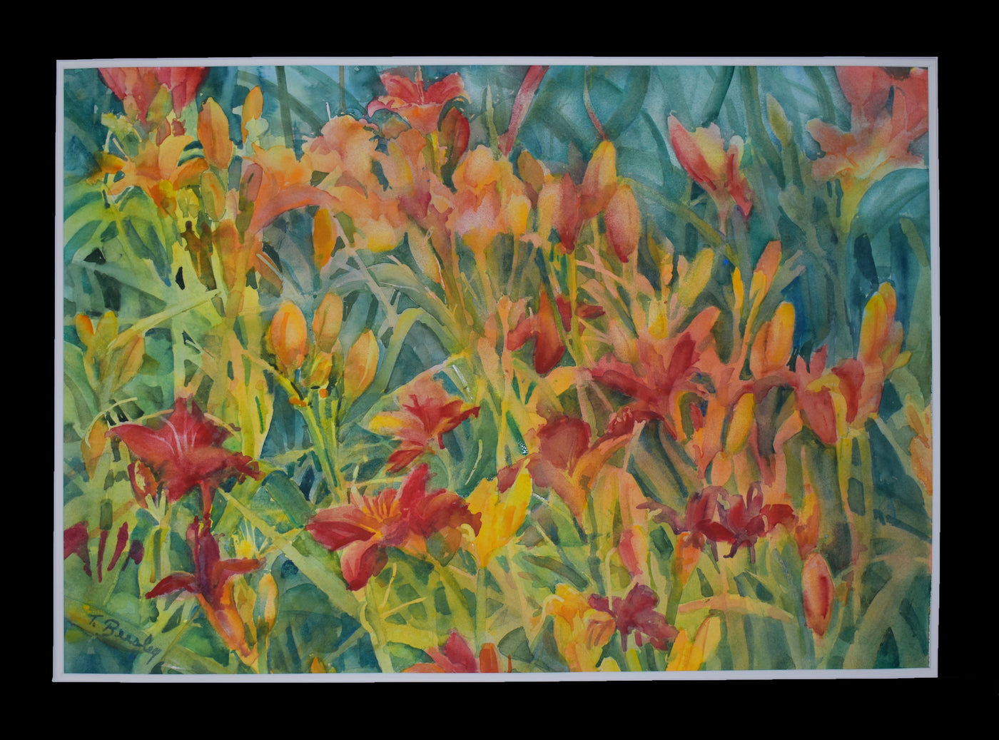 Dancing Daylilies
