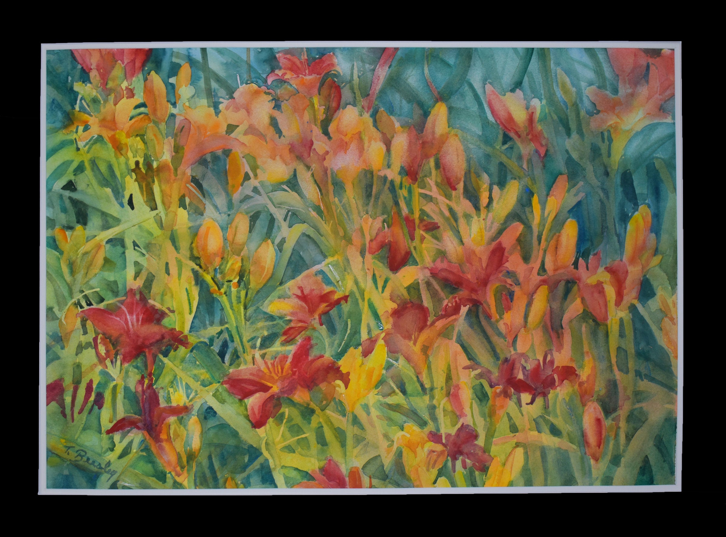 Dancing Daylilies