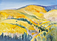 Aspen Symphony
