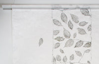 Yellow Birch