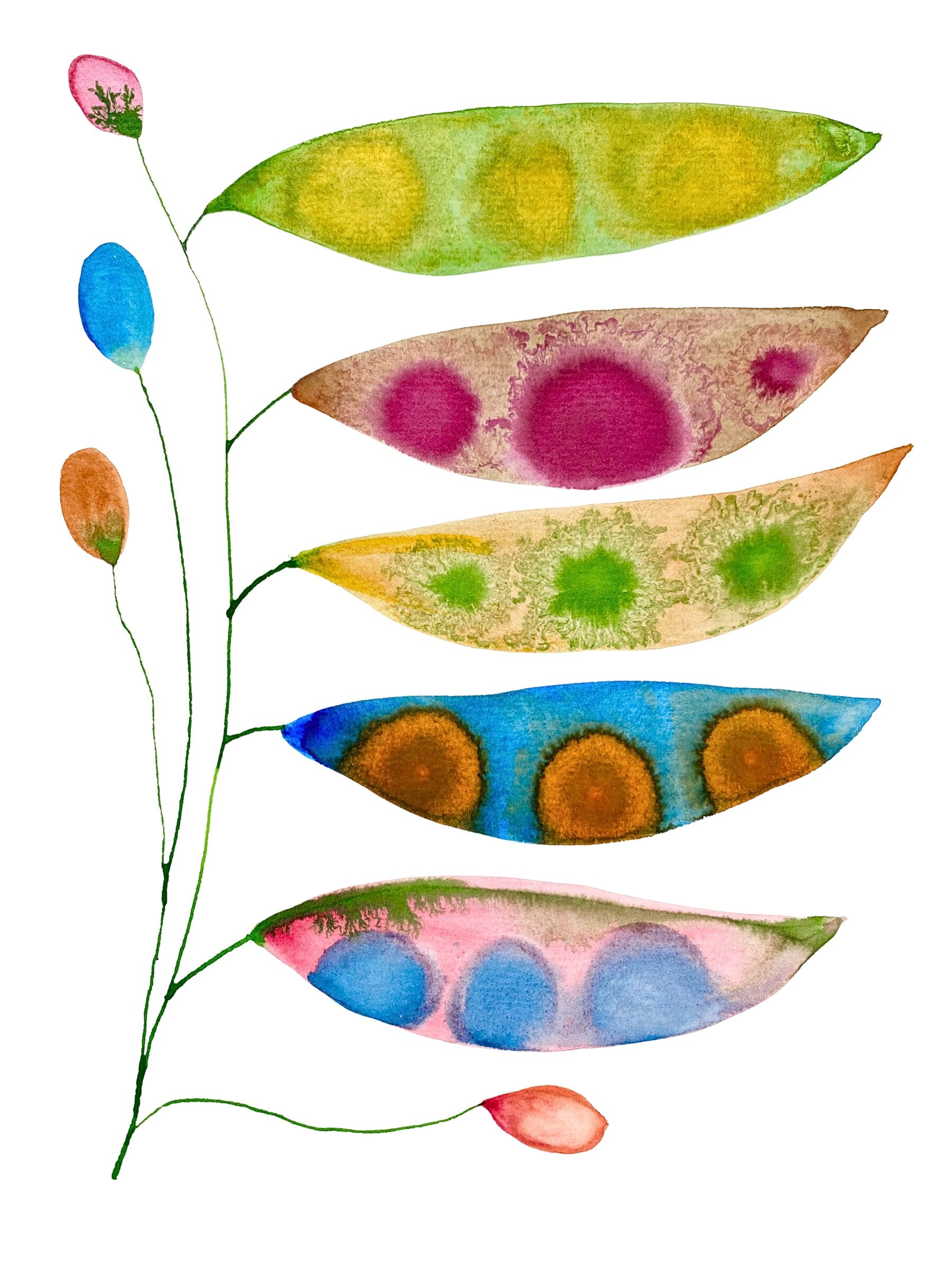 Cycle Breaker Seed Pods