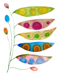 Cycle Breaker Seed Pods