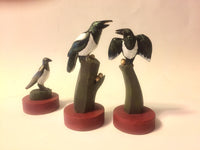 Magpies vs. Crows