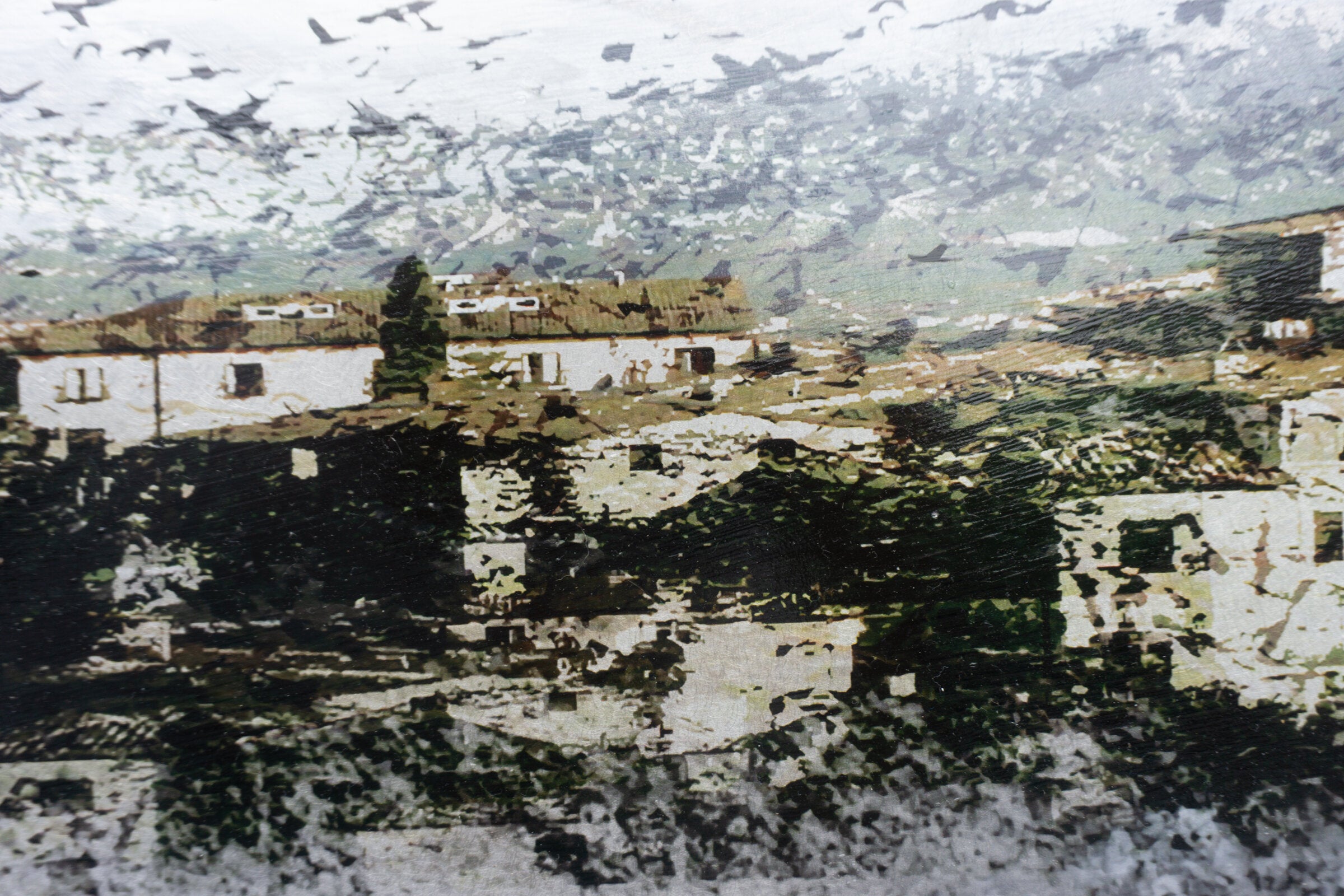 Birds Over Assisi