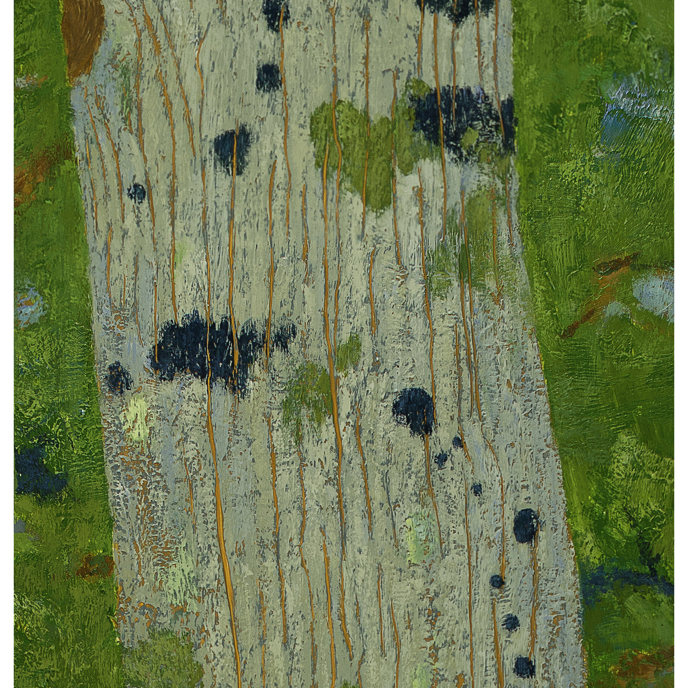 Blue Lichen, Eastern Hemlock