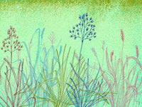 Abstract Grass Forms 13