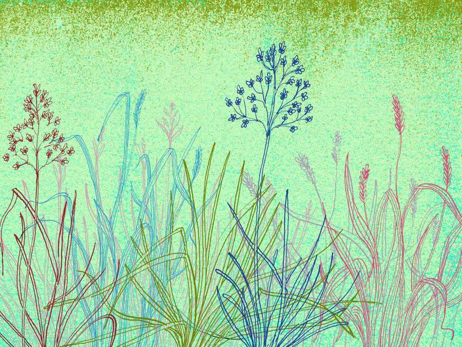 Abstract Grass Forms 13