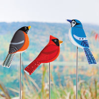 left to right: robin, cardinal, blue jay