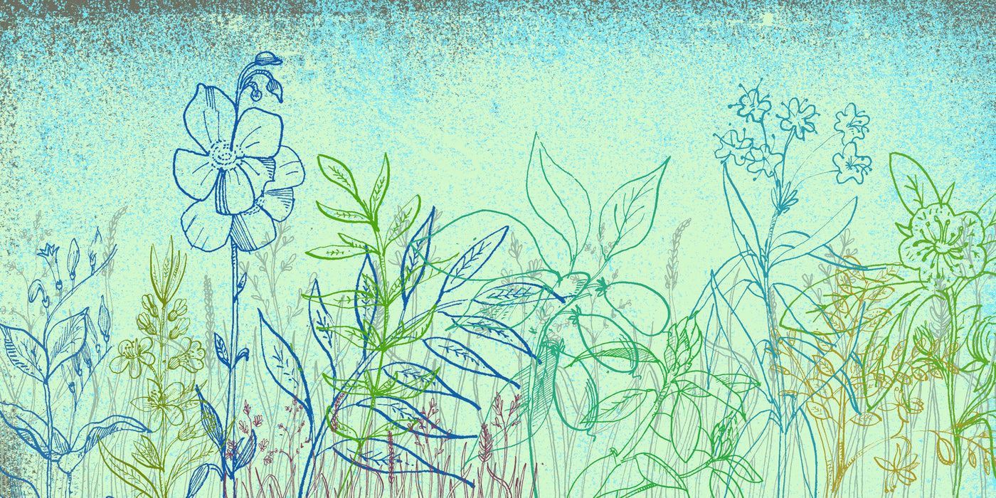 Abstract Plantforms 3