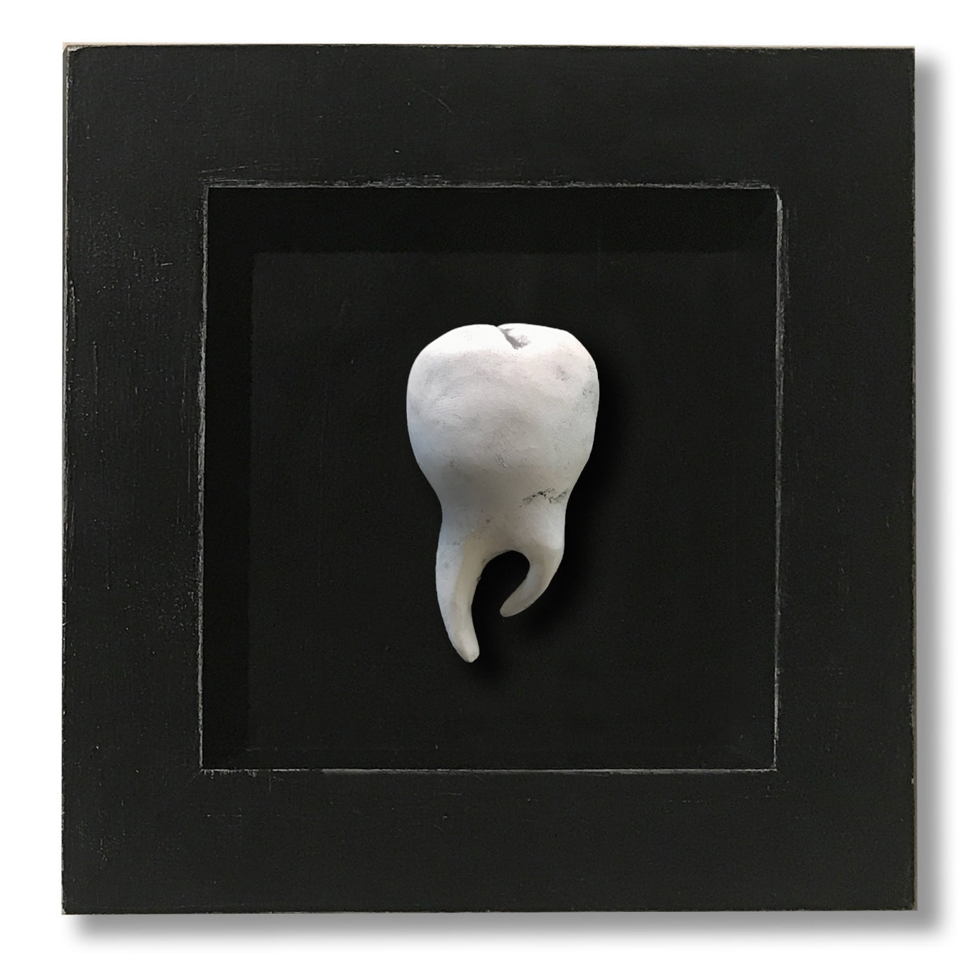 Connections Series: Tooth