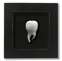 Connections Series: Tooth