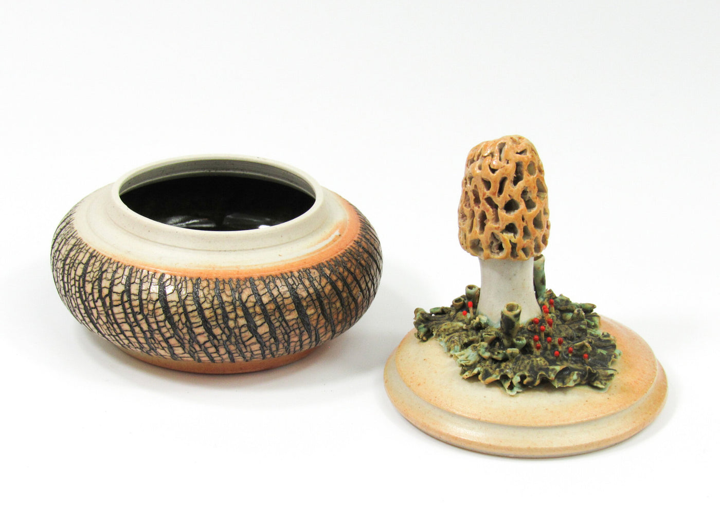 Morel