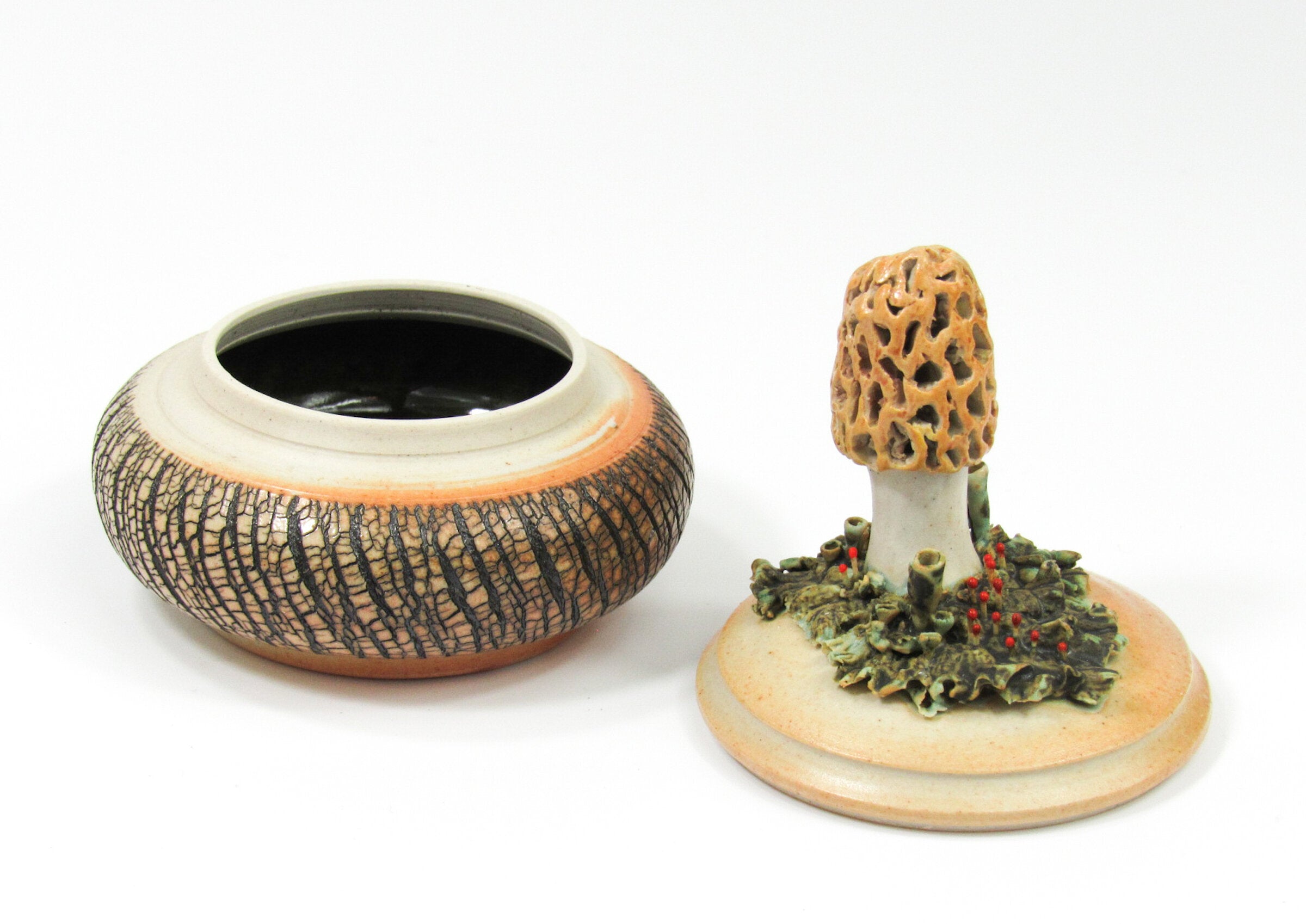 Morel