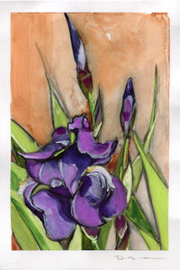Purple Iris