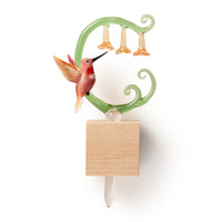 Sherbert Hummingbird