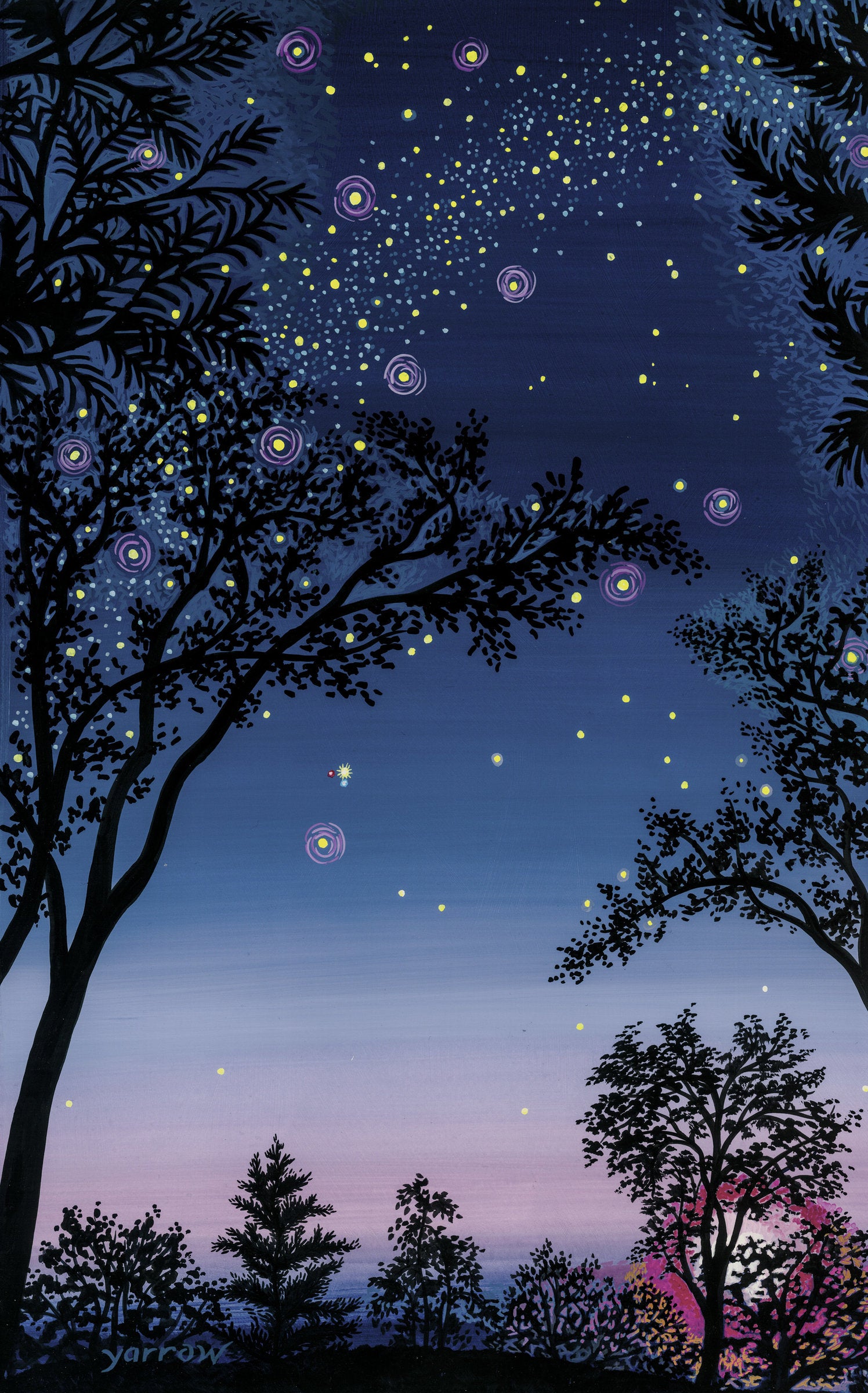 The Stargazer