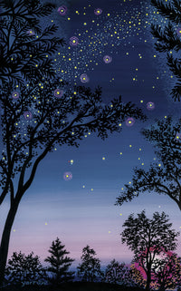 The Stargazer