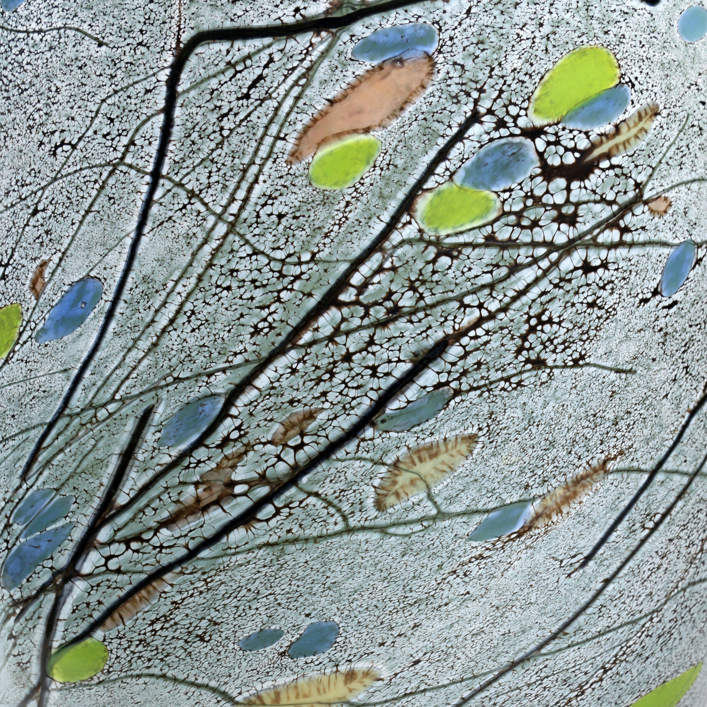 Winter Wildflowers Studio Color Study Vase