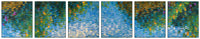 River Reflections Set