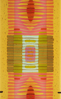 Amber/Salmon Line Work Vertical
