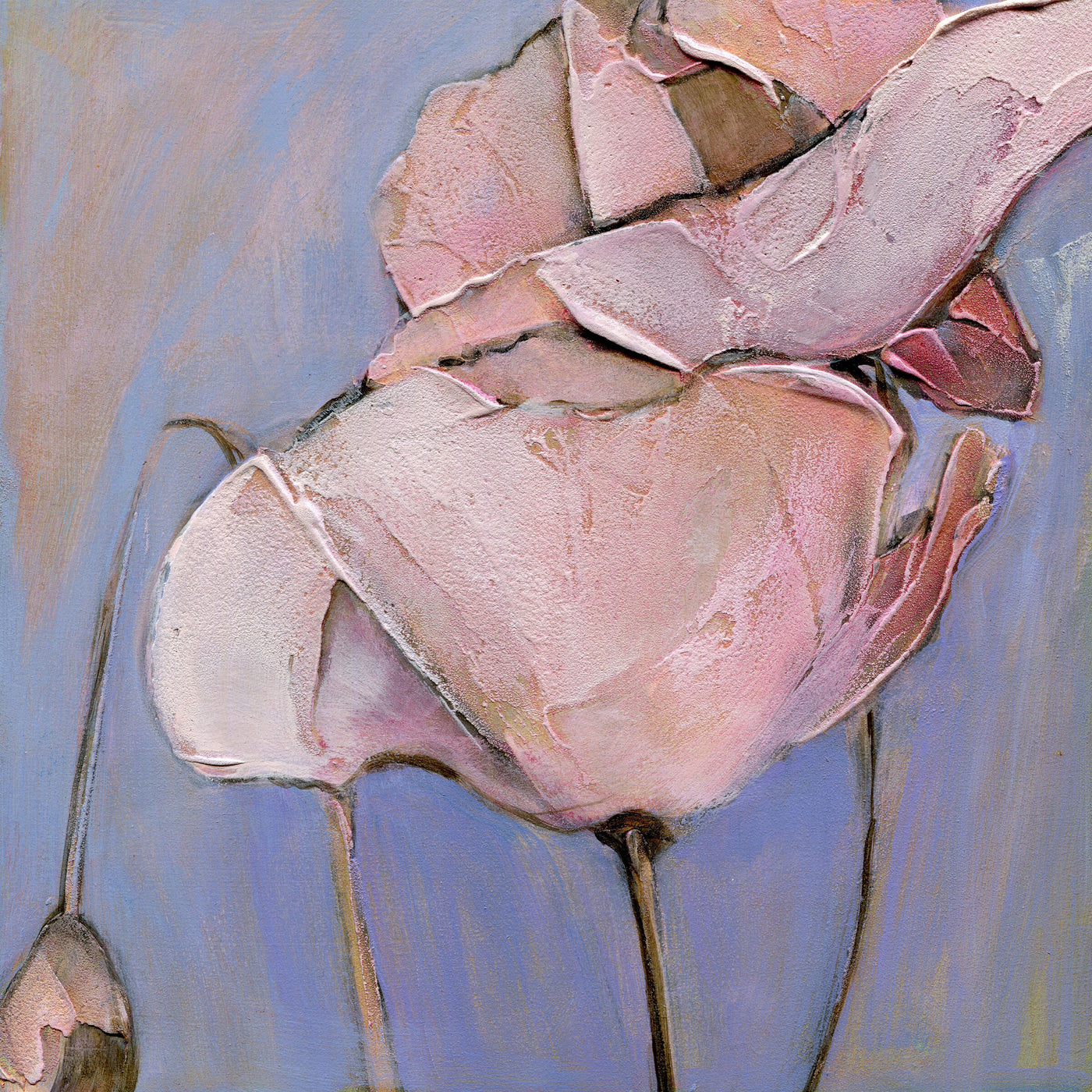 Poppy Portrait III