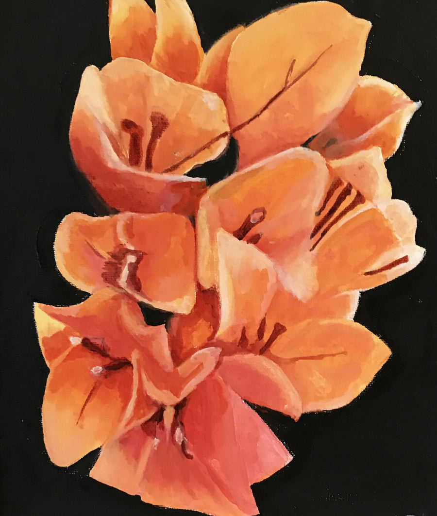 Orange Delight