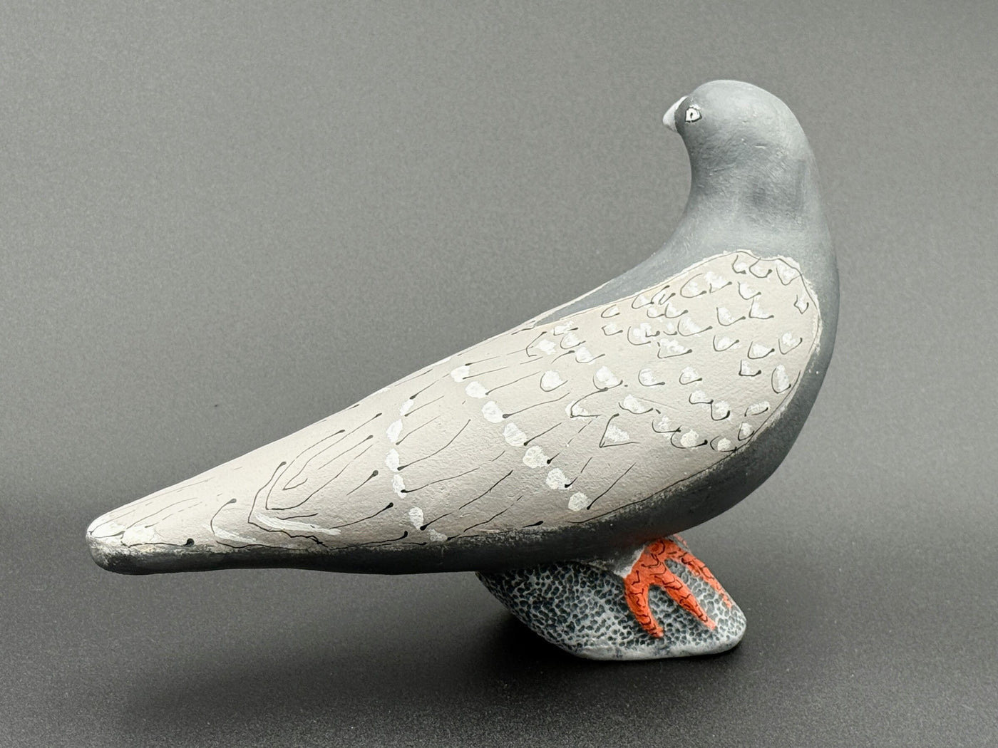 Pigeon, White Tipped Feathers