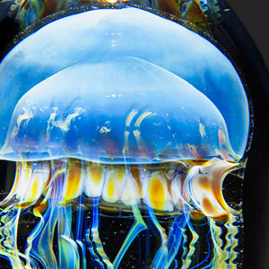 Moon Jellyfish Mini