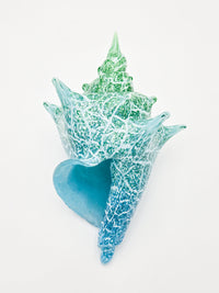 Sea Green Ripple