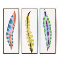 Feather Plant Leaf Triptych