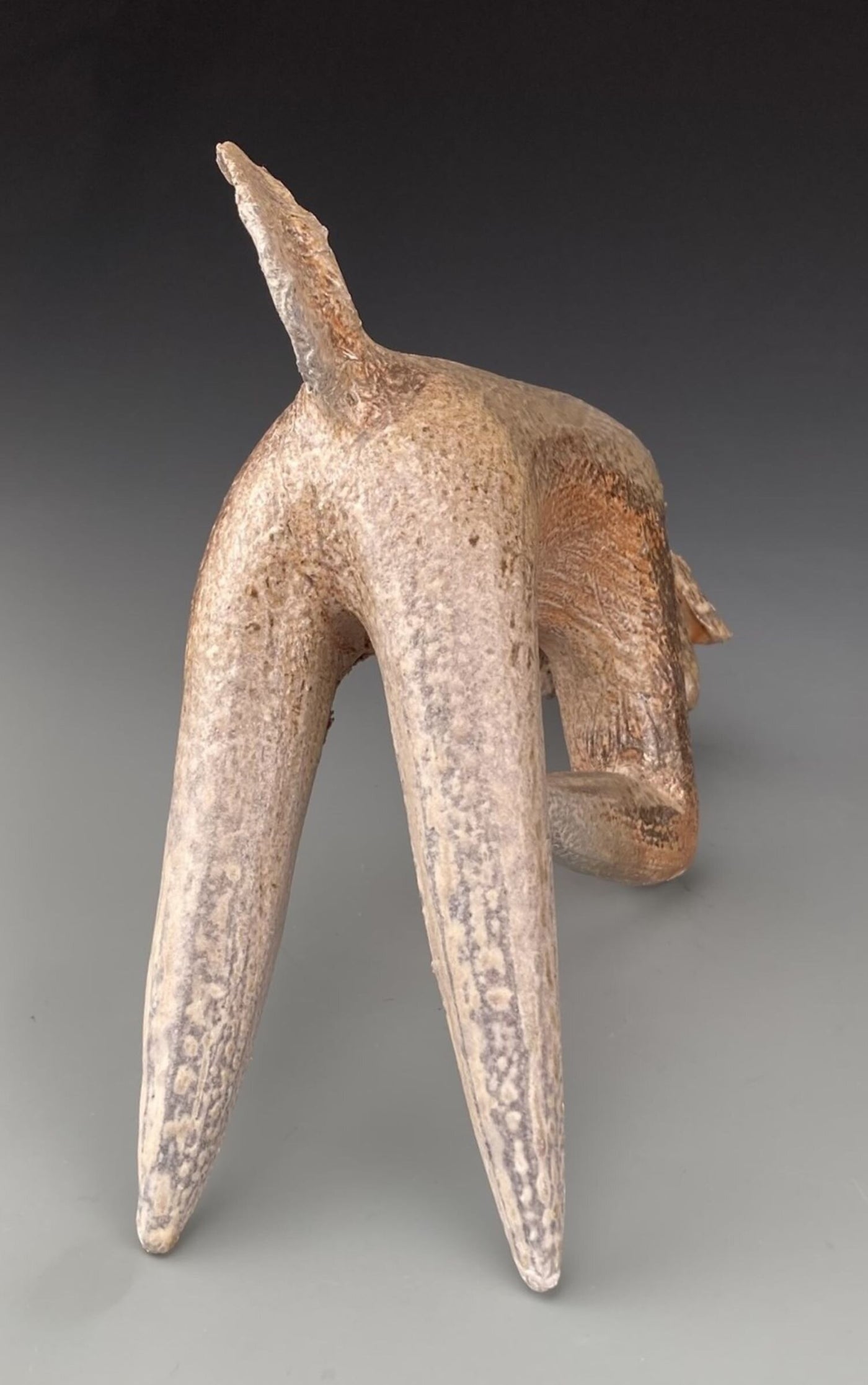 Woodfired Dog Bowing