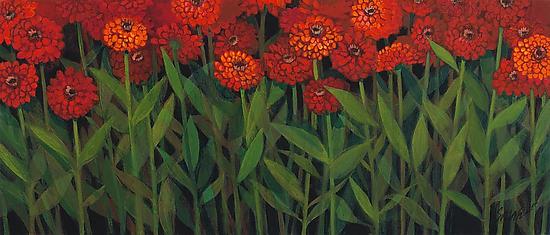 Zinnias