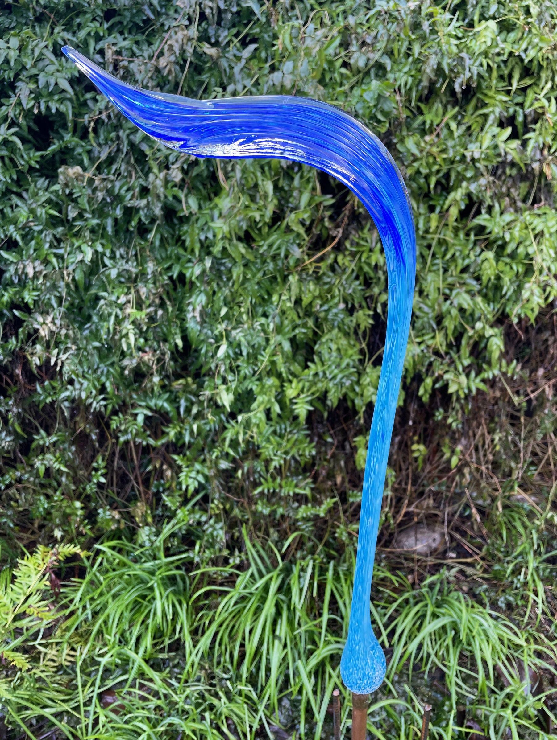 Aqua/Cobalt