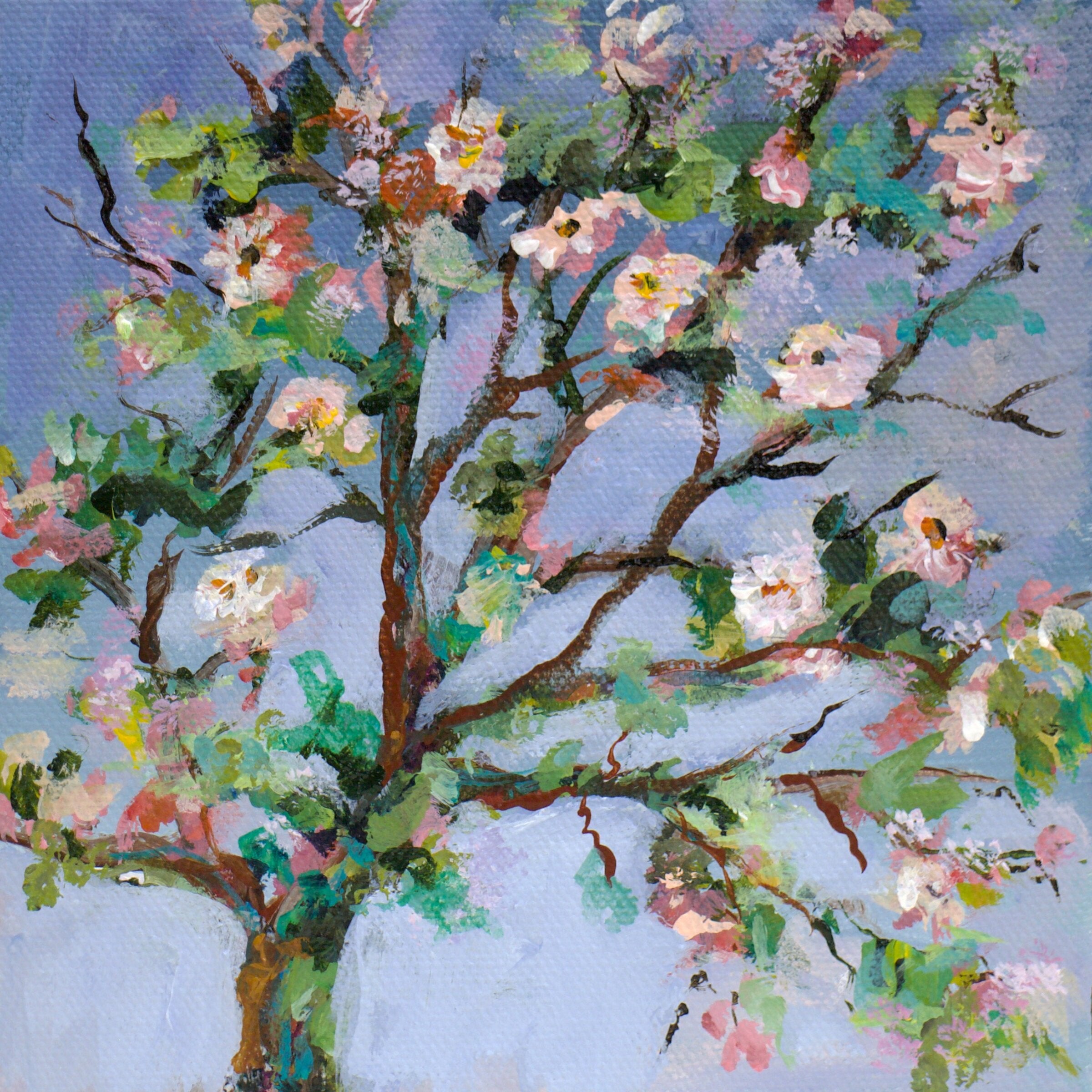 Open Bloom