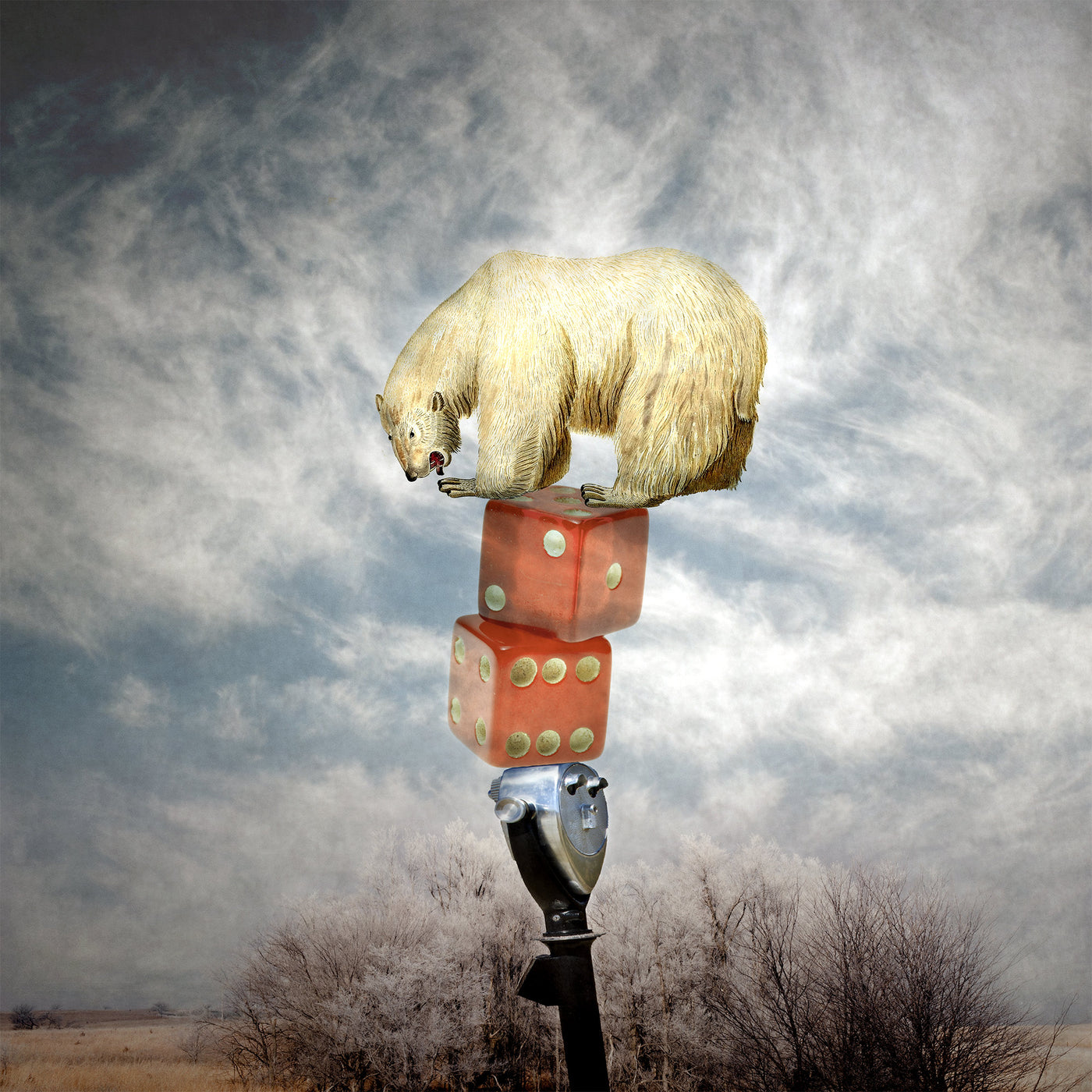 Balancing Bear