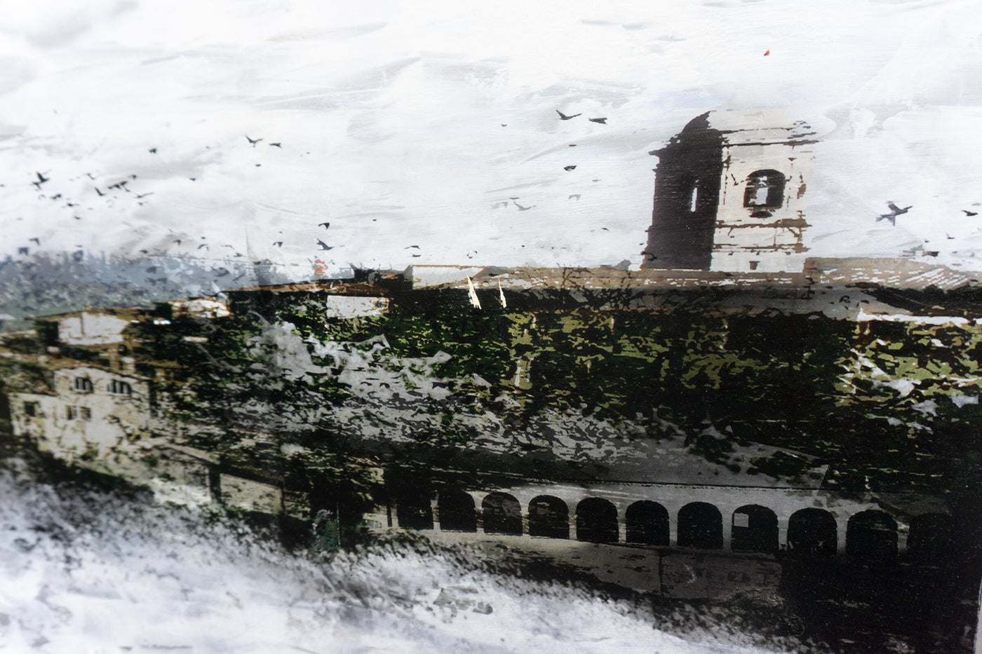 Birds Over Assisi