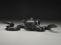 The Snake That Ate the Teapot 2