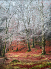 Into the Mystic #7