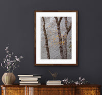 Black Oaks and Granite