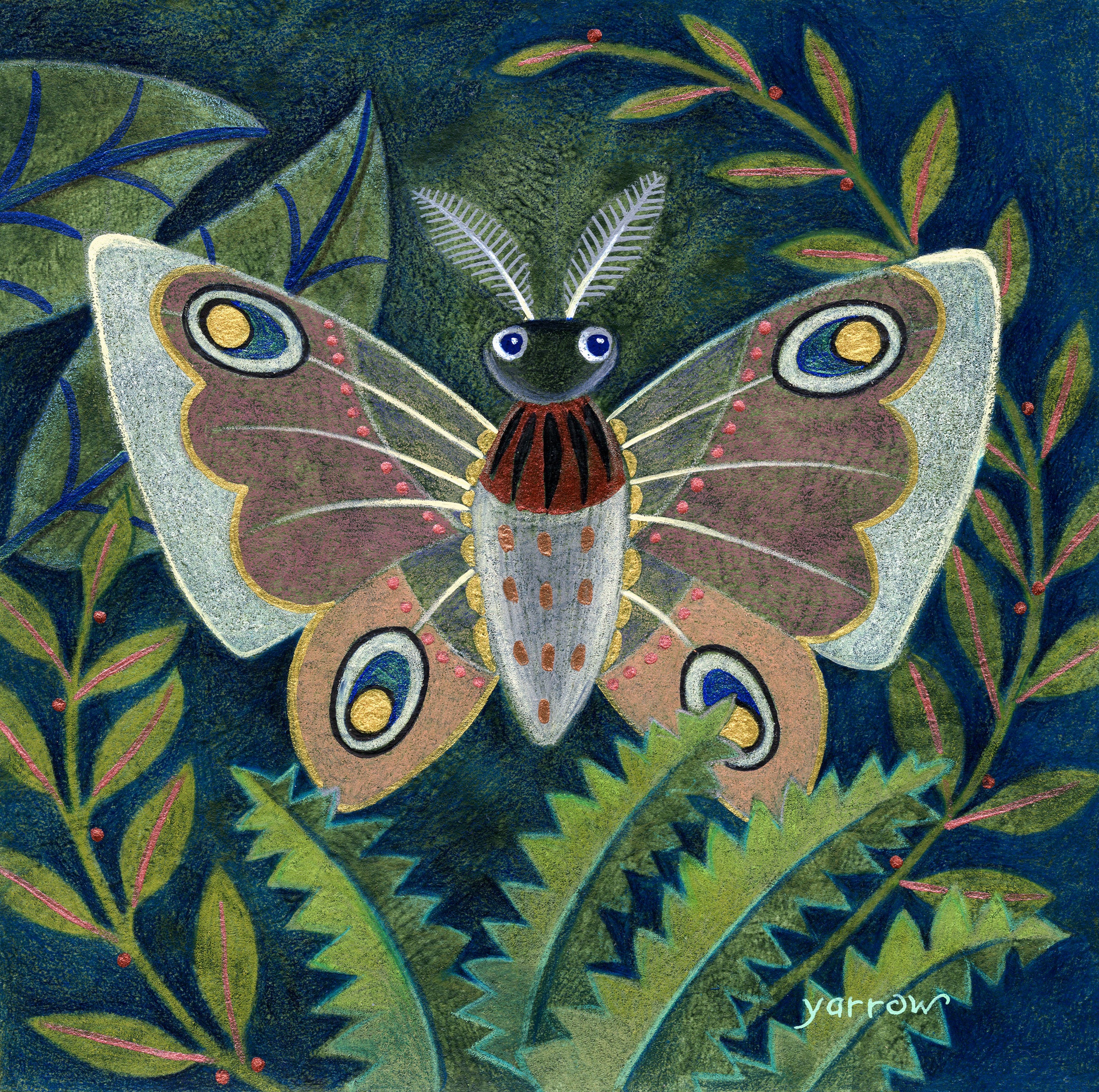 Forest Moth