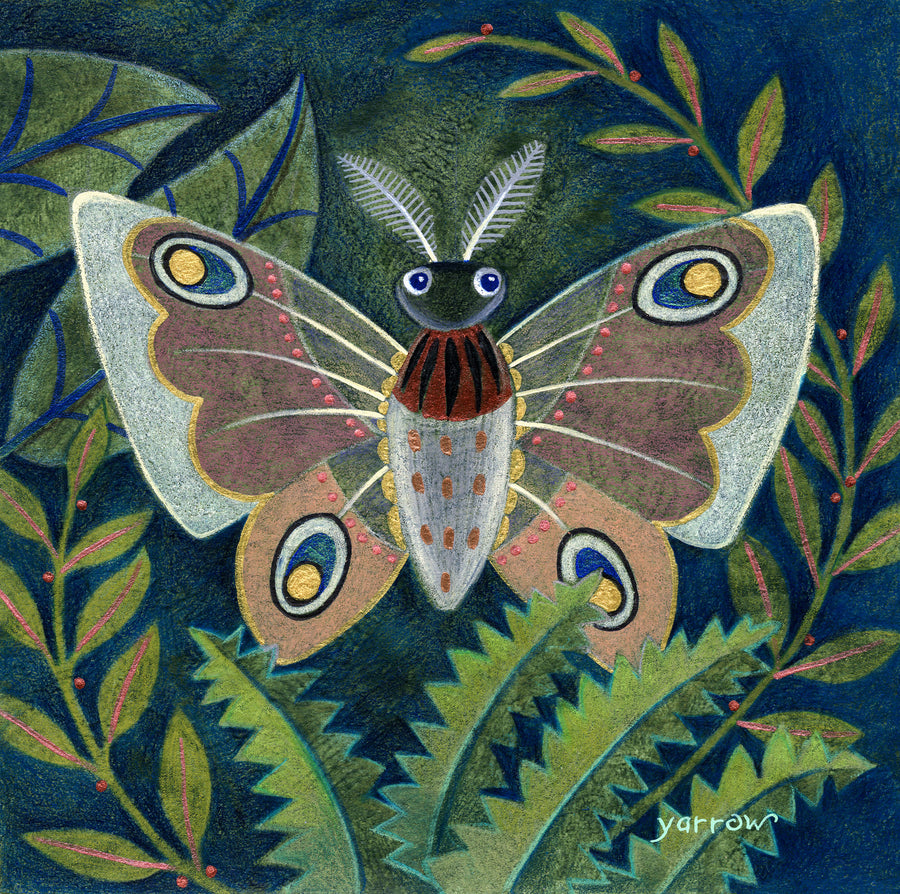 Forest Moth